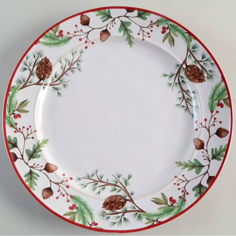 (4) Pottery Barn “Forest Gnome” Christmas dinner plates - never used
